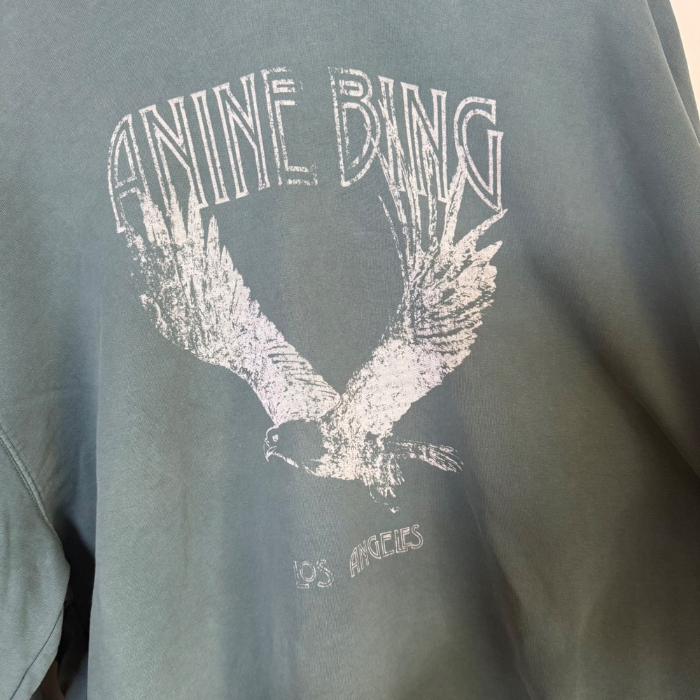 Anine Bing Harvey Eagle Graphic Oversized Hoodie Size Medium Faded Green - Picture 3 of 5